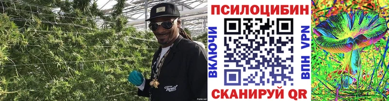 Галлюциногенные грибы Psilocybine cubensis  darknet состав  mega зеркало  Белинский  наркота 